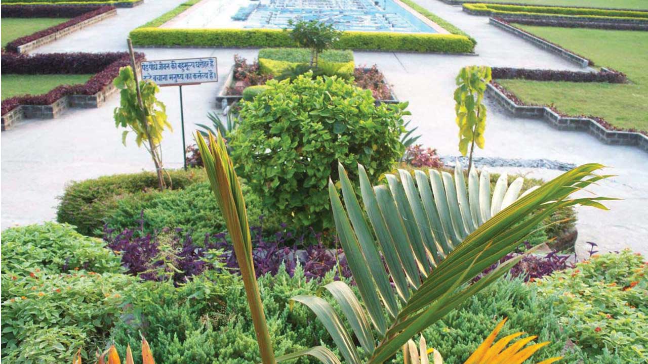 Nursery and Gardens